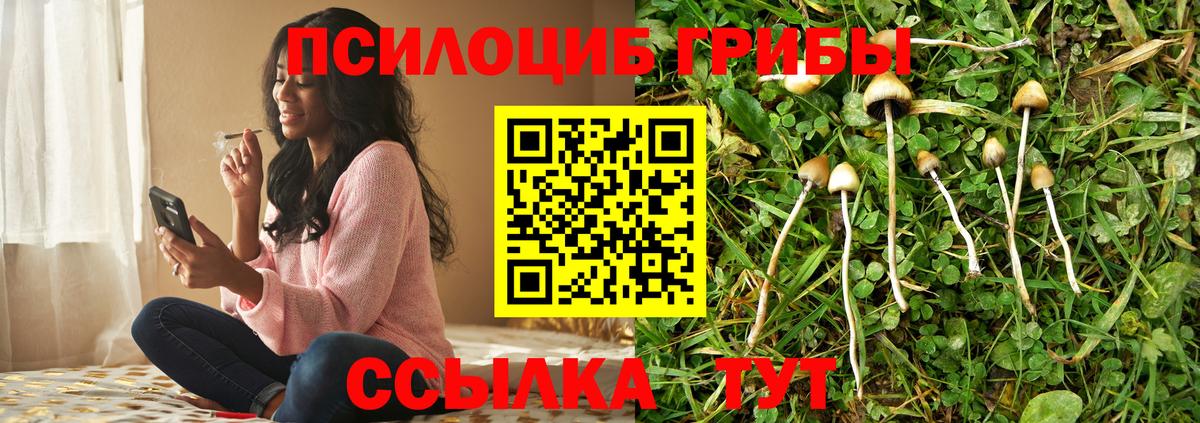 Коломна  Псилоцибиновые грибы прущие грибы  Вход с VPN 